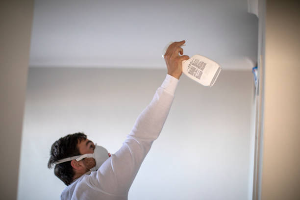 Best Black Mold Removal  in Centereach, NY