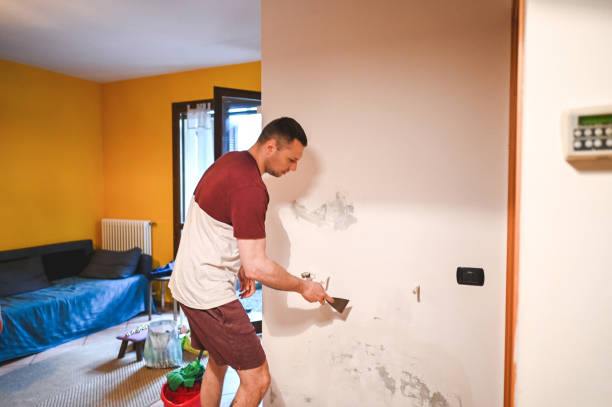 Mold Testing and Removal in Centereach, NY