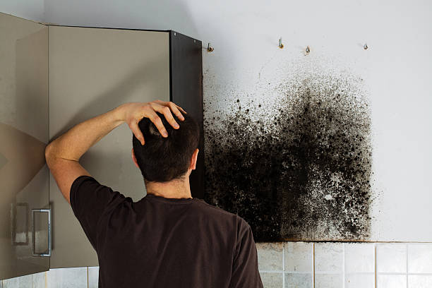 Best Crawl Space Mold Removal  in Centereach, NY